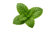 נענע אורגנית